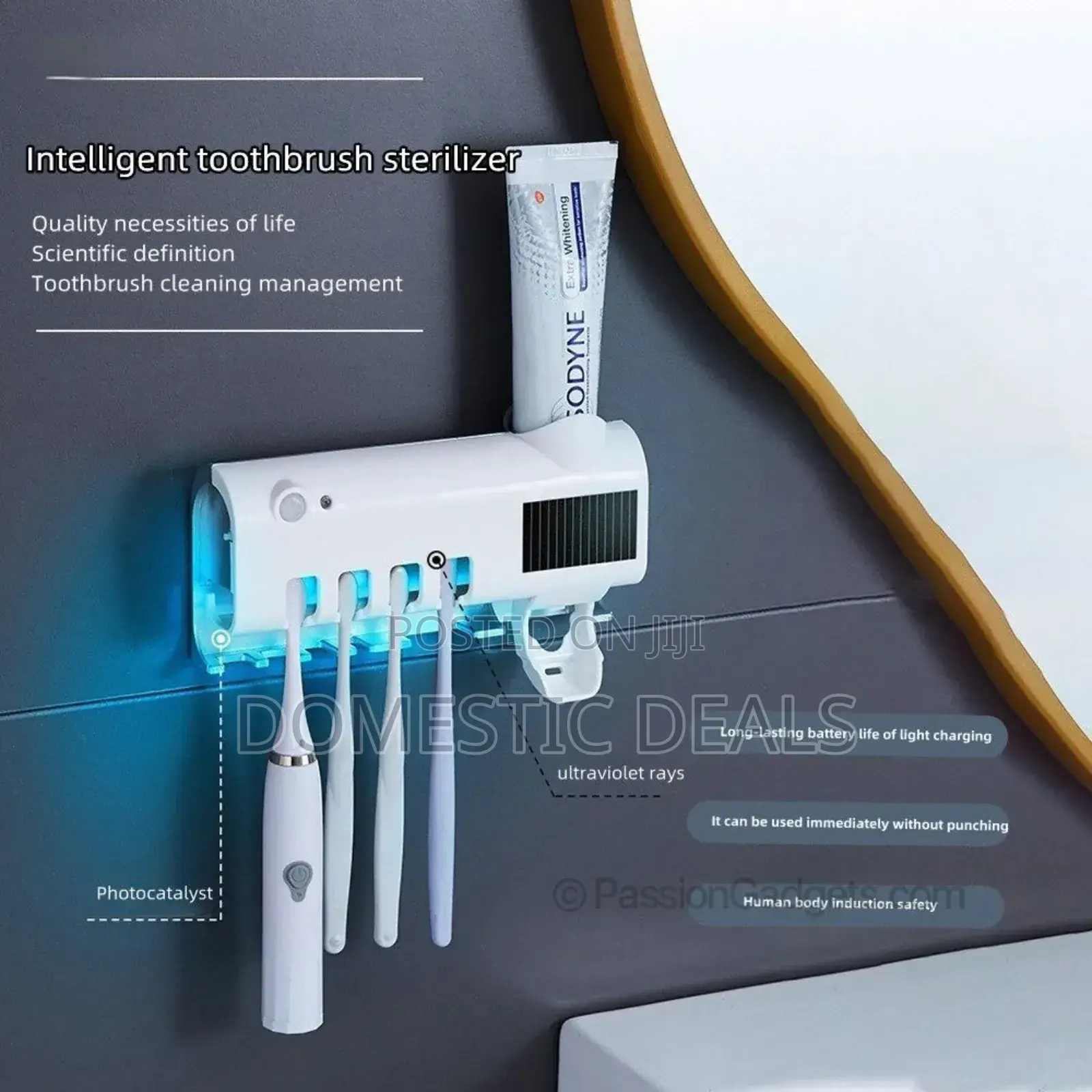Toothbrush Holder