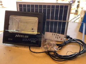 30W Automatic Solar Flood Lights
