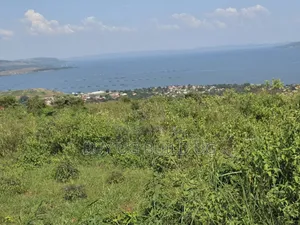 5 Acers of Land for Sale in Kiyinda ( Buikwe) Lake View 40m