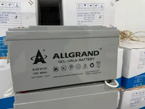 65ah Heavy Duty Solar GEL Batteries