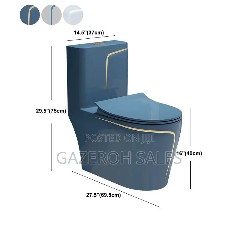 Vibrant Coloured Toilets