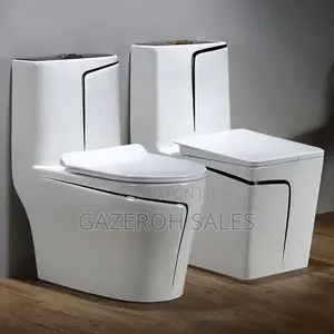 Vibrant Coloured Toilets
