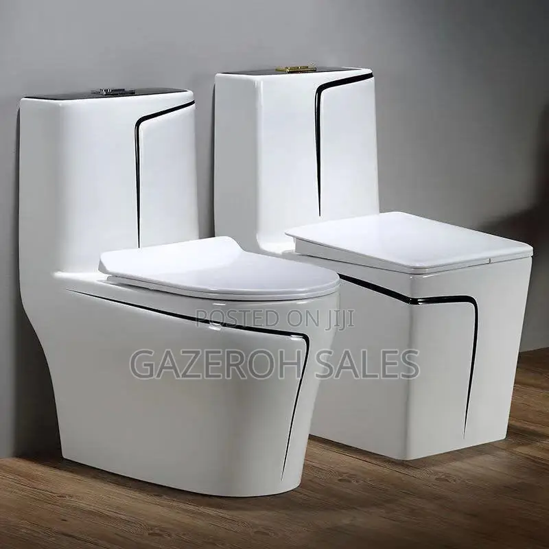 Vibrant Coloured Toilets