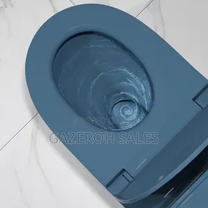 Vibrant Coloured Toilets