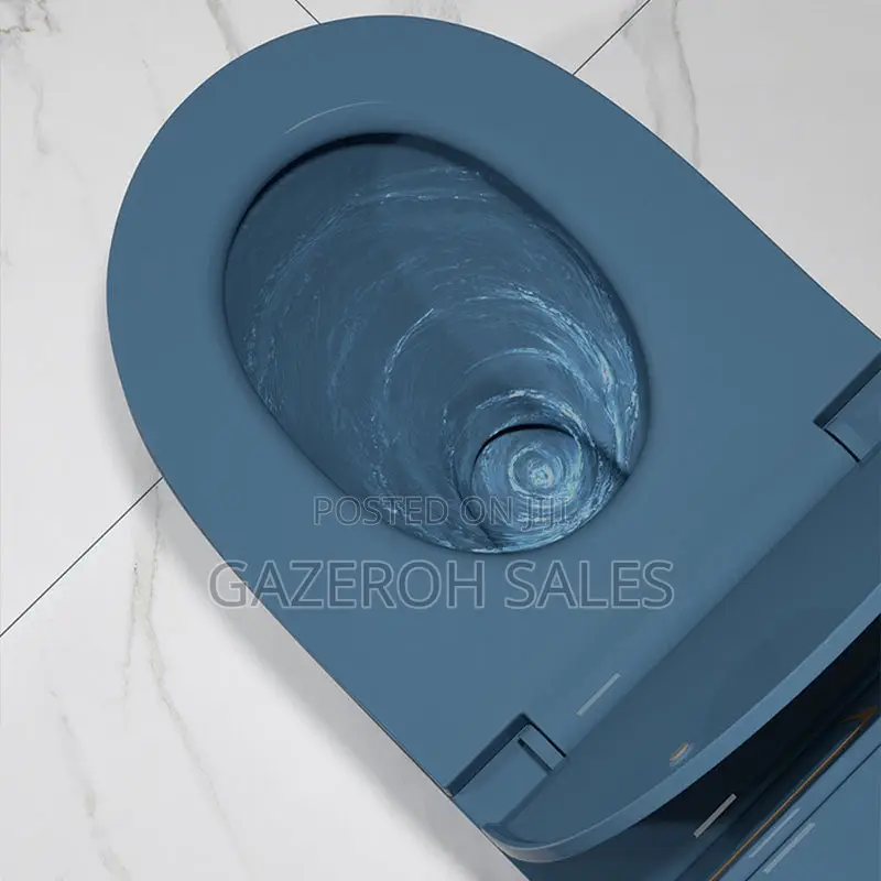 Vibrant Coloured Toilets