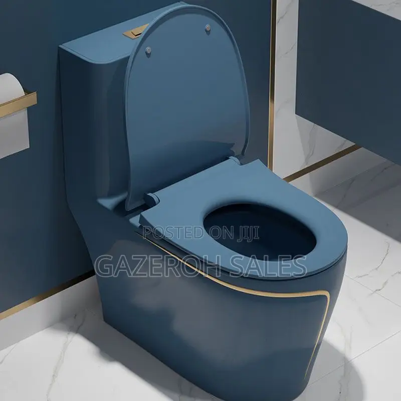 Vibrant Coloured Toilets