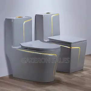 Vibrant Coloured Toilets