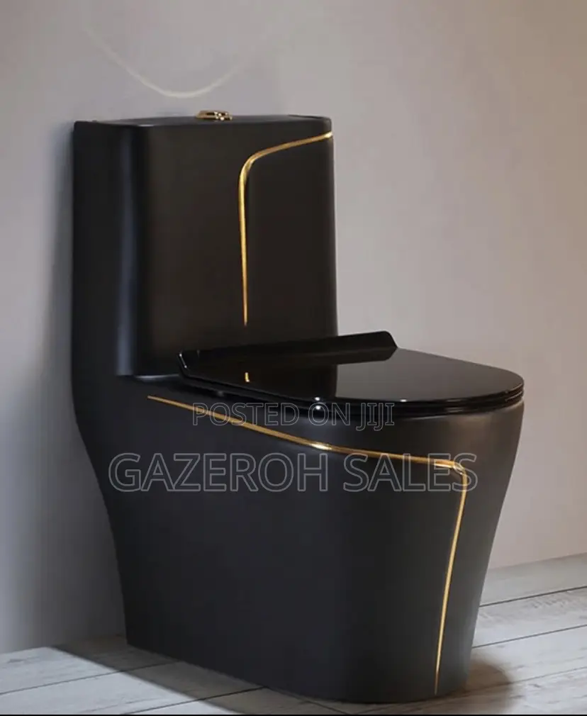 Vibrant Coloured Toilets