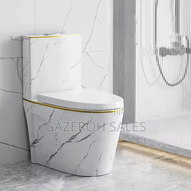 Vibrant Coloured Toilets