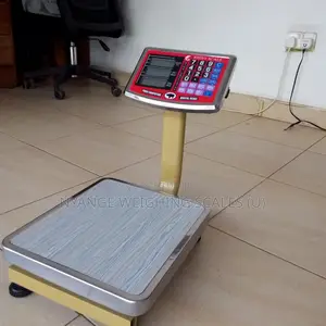 60kg Weigh Digital Weighing Scale Platform Digital Weighing Scale