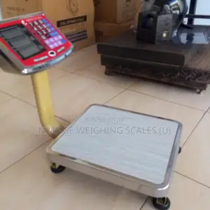 60kg Capacity TCS Portable Platform Weighing Scales