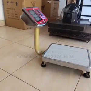 Strong Profile Mini Weighing Scale 60kg Weigh TCS Food Weighing Scale