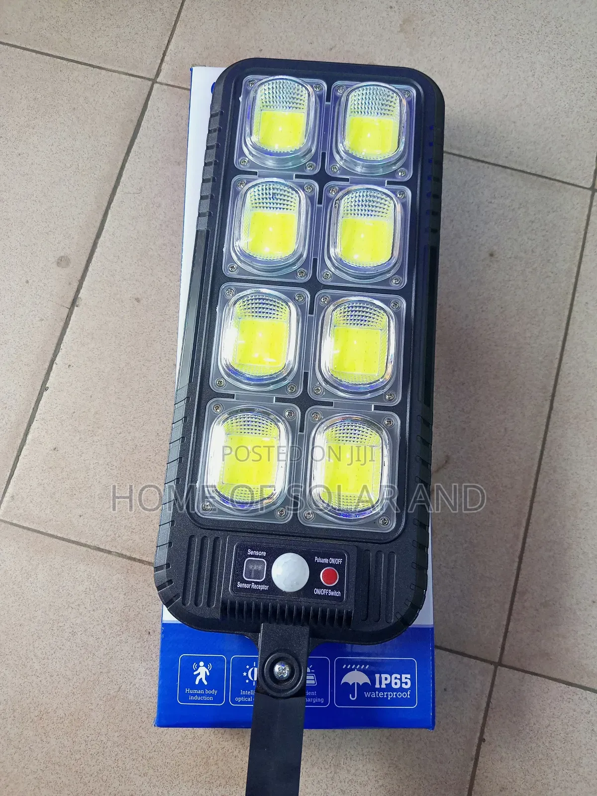 Solar Security Light
