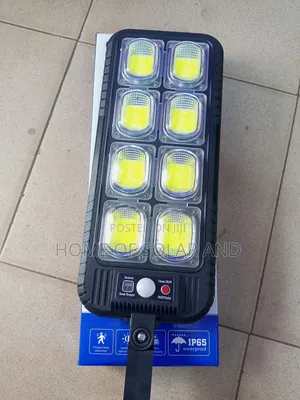 Solar Security Light