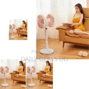 Double Electric Fan