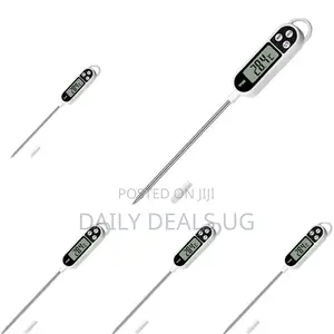 Digital Food Thermometer