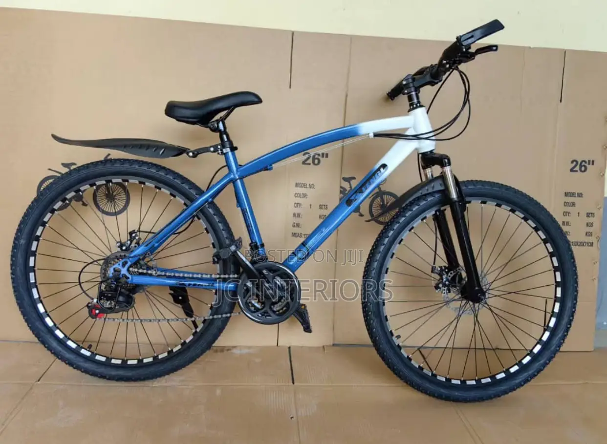 All Seasons Bicycle