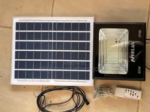 60W Neelux Solar Flood Lights ARTH