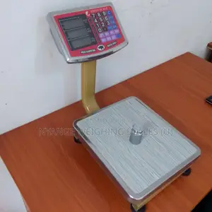 Portable Weighing Scale Digital Platform Electronic Weigh Scale 60kg