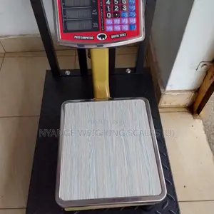 High Quality Platform Digital Weighing Scale 60kg Dt05 - Cc