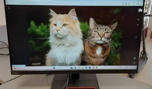 Monitor 32 Inches Lenovo Think Vision