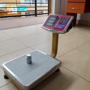 Digital Weigh Commercial Shop Weighing Scale 60kg Weights for Sale