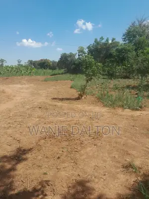 Hurry Up for Land for Sale at 8 Million at Acre in Namutumba