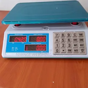 Weigh Scale 40kg Weigh With Counting Function Digital Weighing Scale