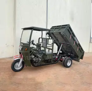 New Tricycle 2024 Green