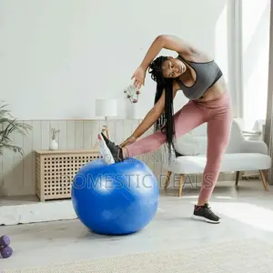 Yoga Ball Exercise Gym Ball
