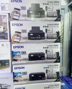 Epson Stylus L8100 Printer