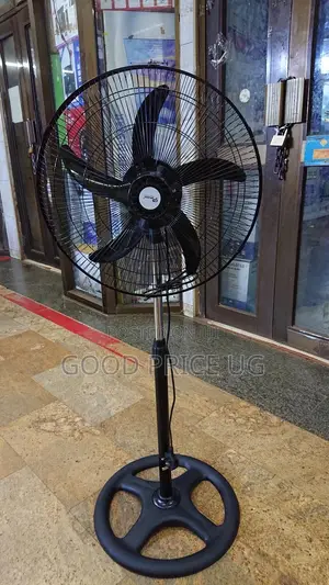 DPLIGHT Standing Fan