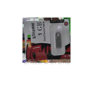 1GB Kingston Flash Drive.