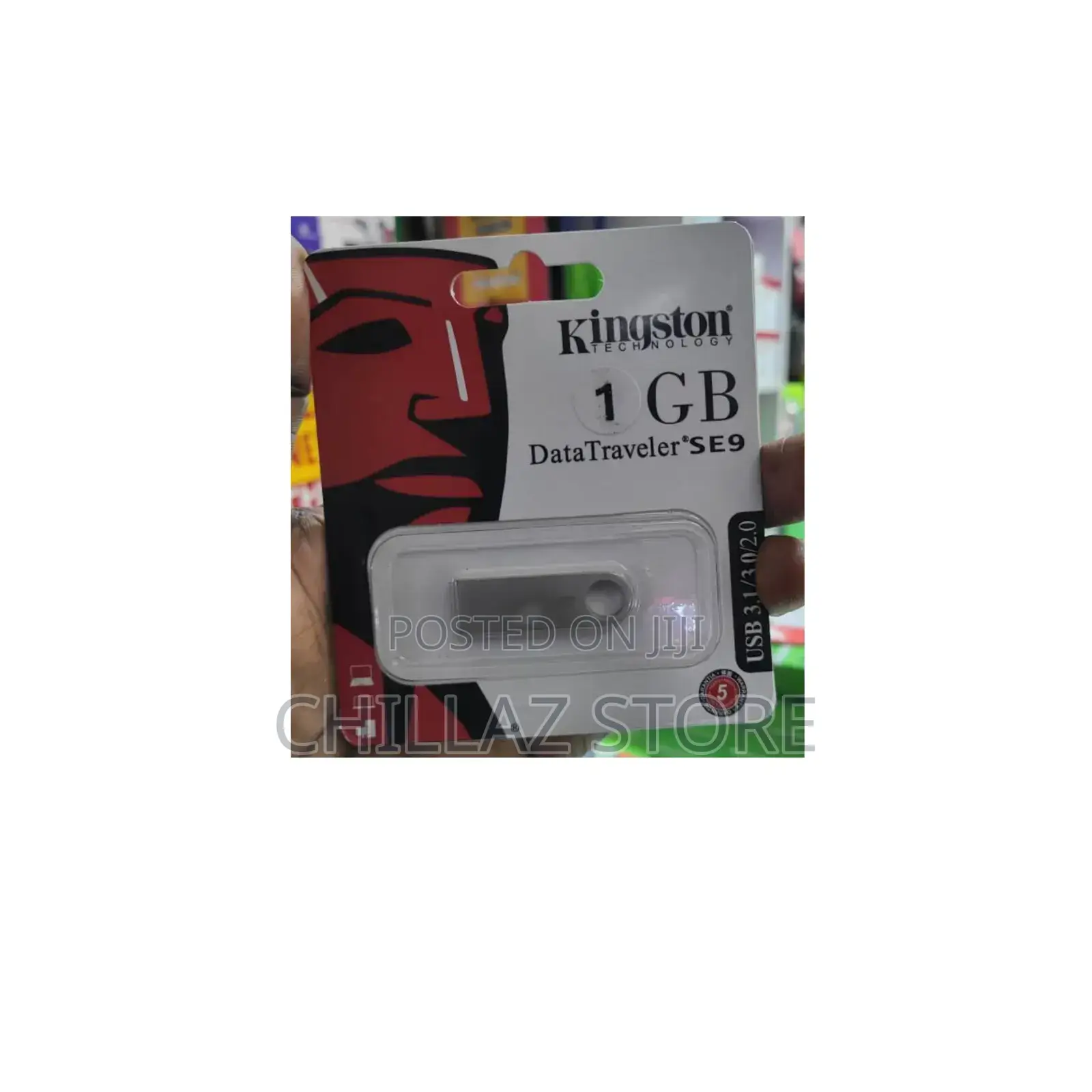 1GB Kingston Flash Drive.