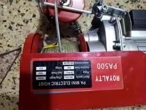500kg Electric Hoist