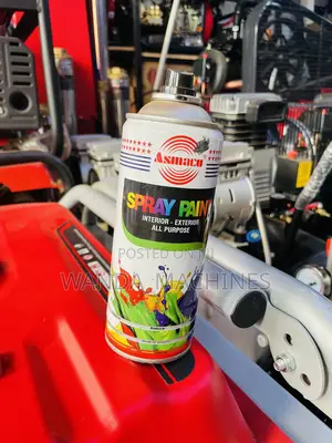 Spray Paint Interior Exterior