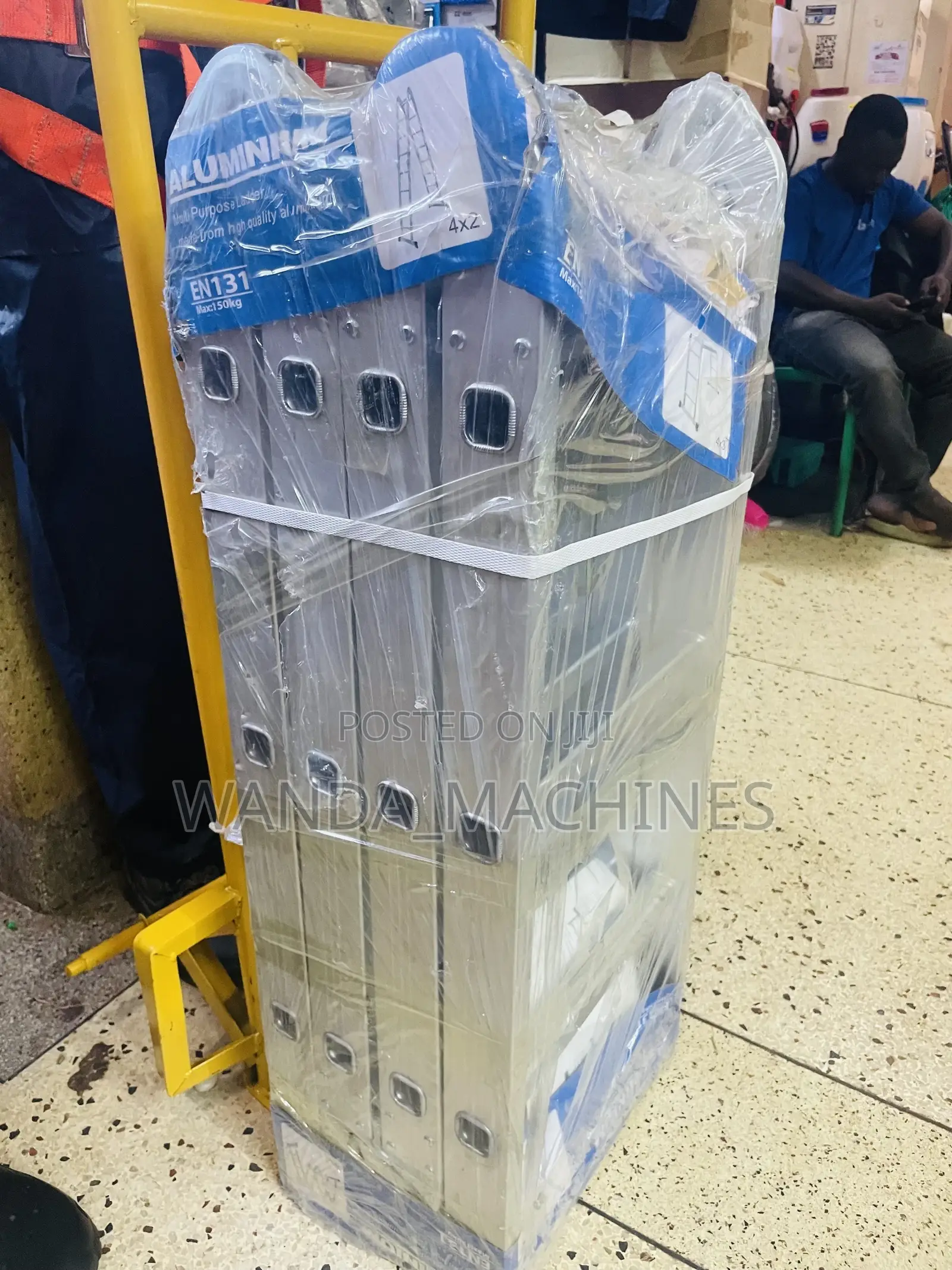 Scaffold Ladders