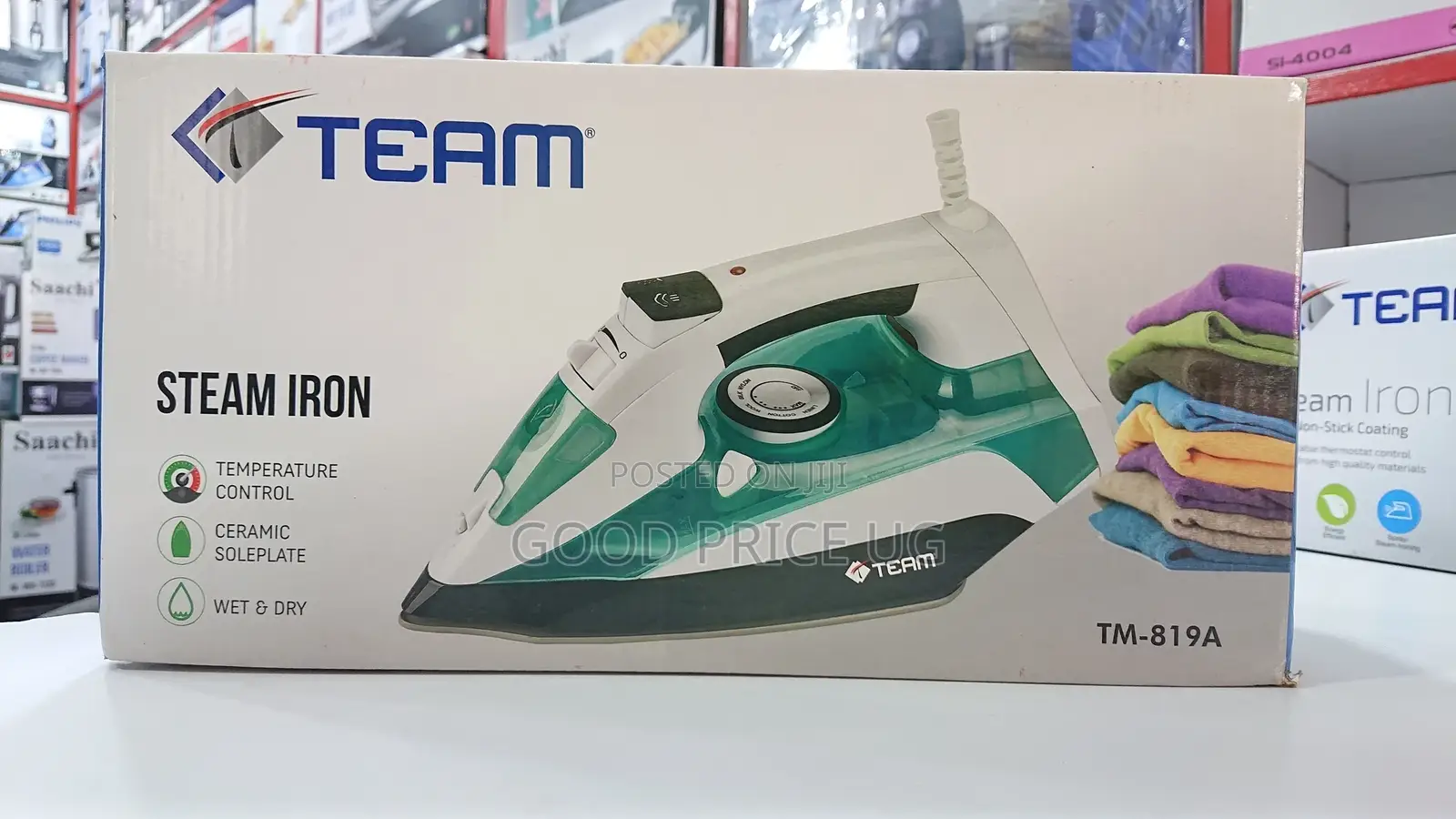 TEAM Steam Iron TM-819A