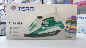 TEAM Steam Iron TM-819A