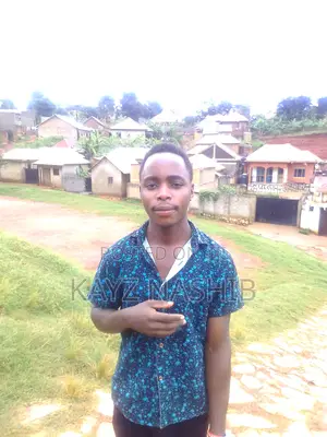 Company Distributors