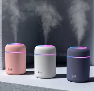 Mini Car Humidifier