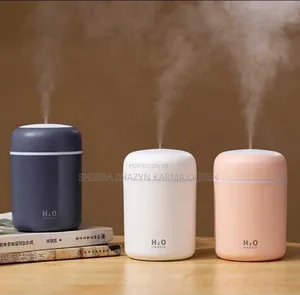 Mini Car Humidifier
