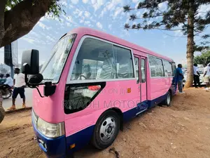 Toyota Coaster 2012 Pink