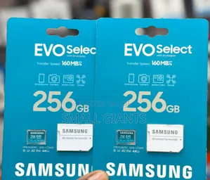 Samsung Evo Select 256GB (160mbs )