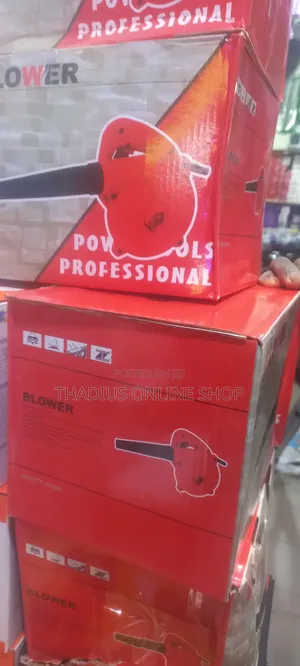 Electric Dust Blower