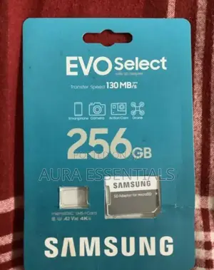 Samsung Evo Select 256GB (160mbs )