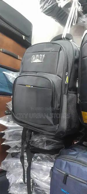 Primary and Secondary School Bags