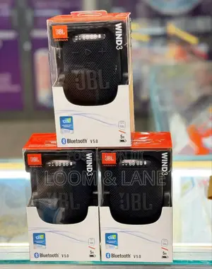 JBL Wind 3 Speaker