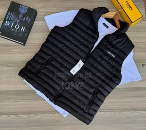 Best Jacket. Down Vest