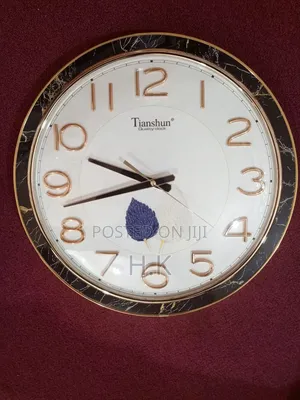 Tianshun Analog Wall Clock.